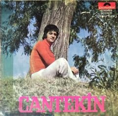 Cantekin Budala 45lik