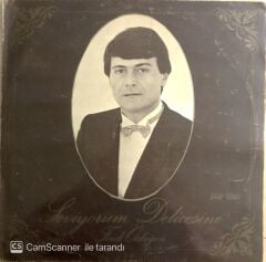 Ferdi Özbeğen - Seviyorum Delicesine - LP