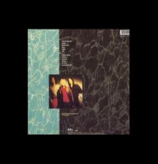 Nirvana Nevermind  LP