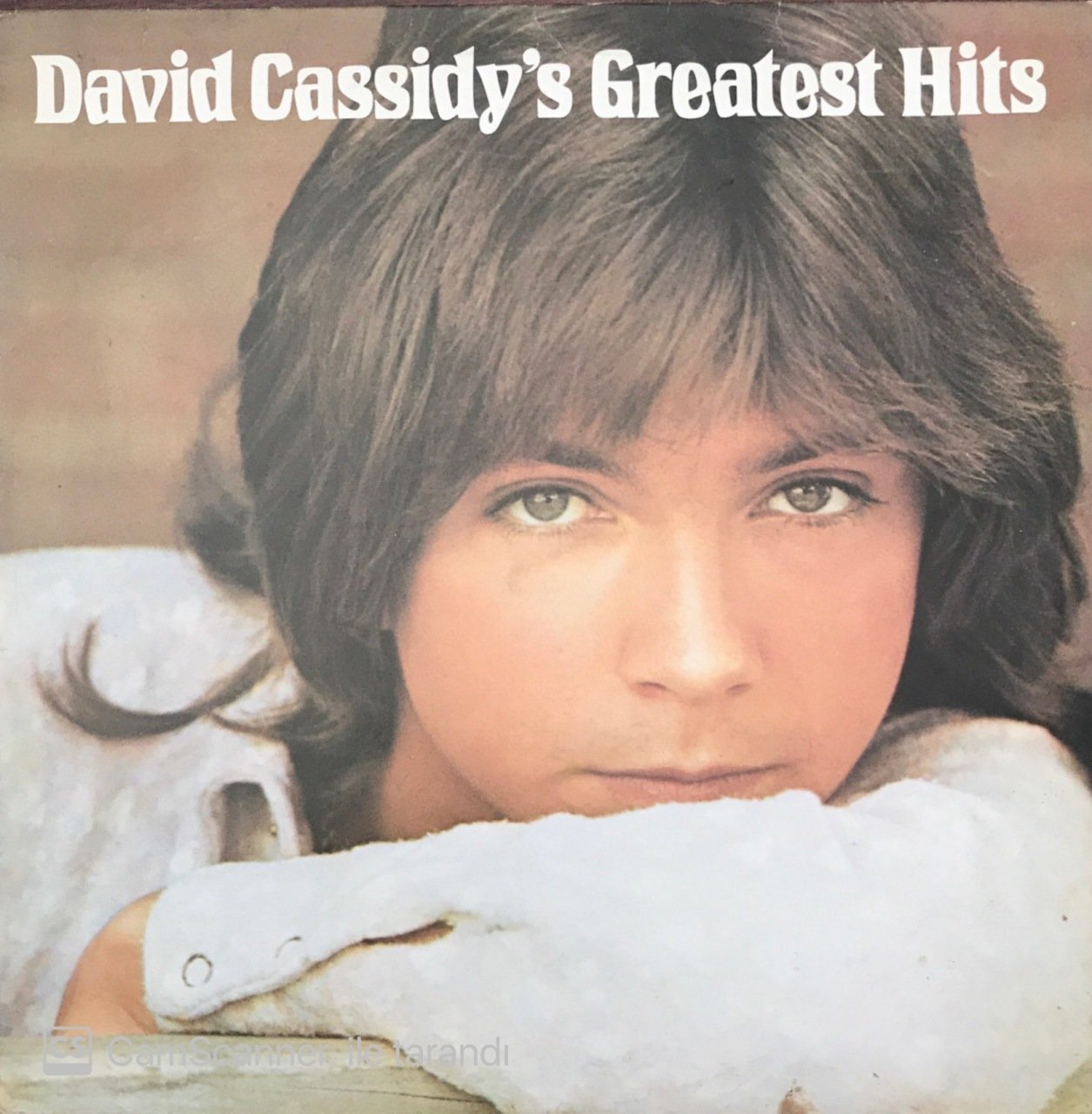 David Cassidy's Greatest Hits LP
