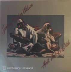 Johnny Guitar Watson Ain't That A Bitch LP