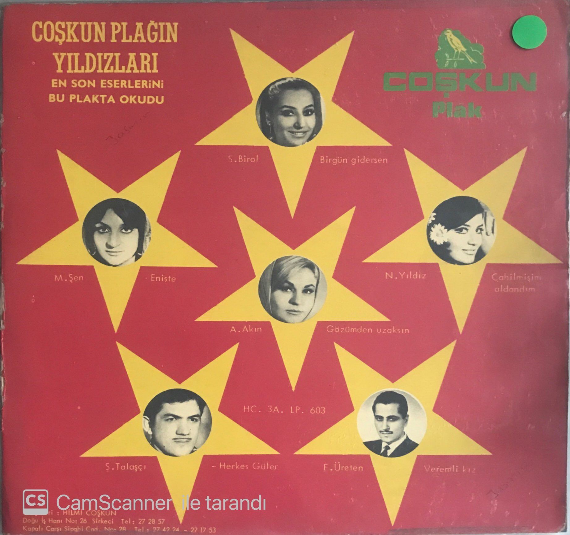 Coşkun Plağın Yıldızları ( Sevil Öztatlı Seks Seks ) LP