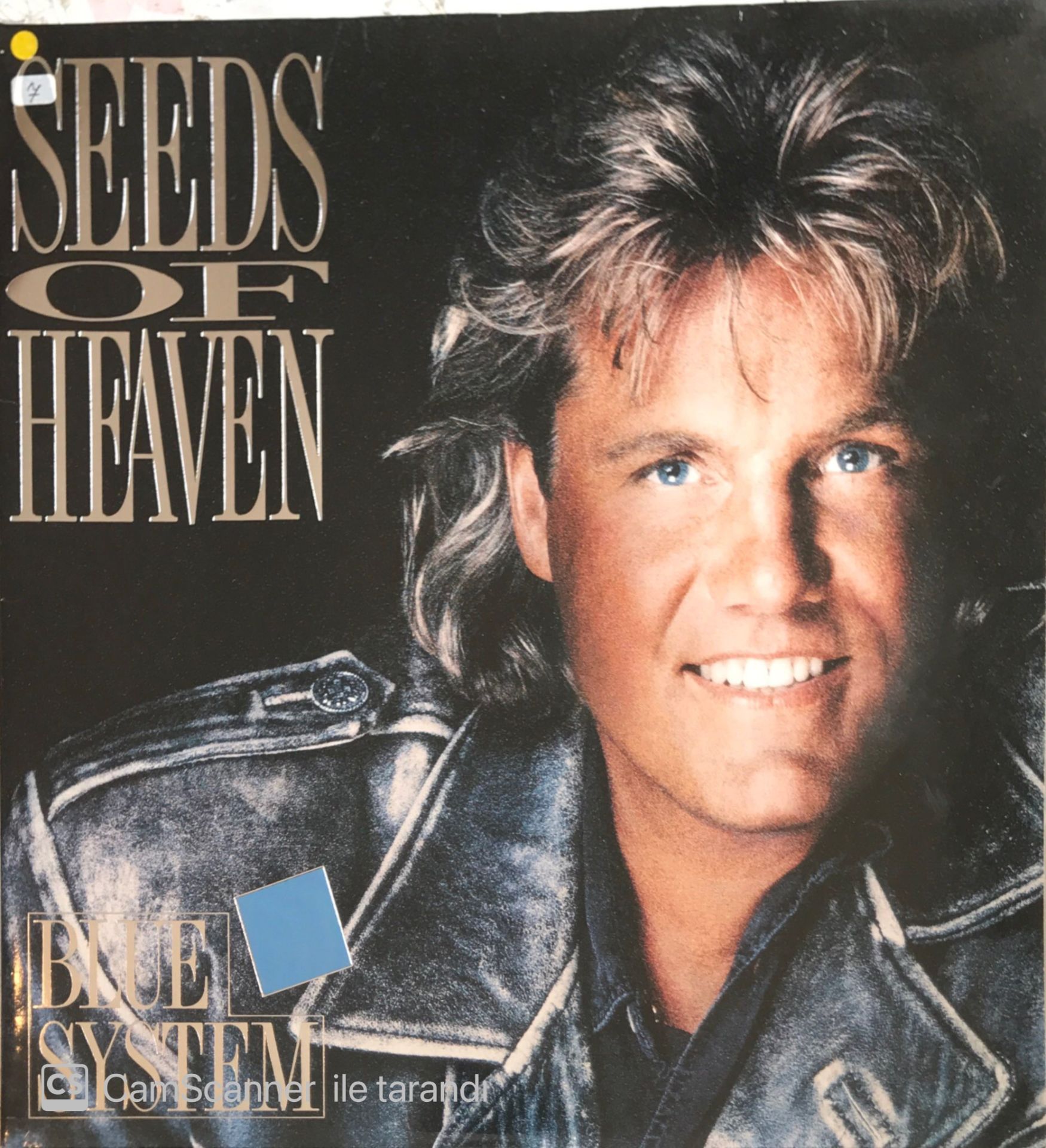 Blue System - Seeds Of Heaven LP
