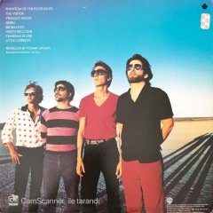 Neil Larsen & Buzz Feiten Full Moon Featuring LP