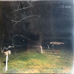 Yo La Tengo - This Stupid World LP