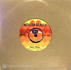 Müslüm Gürses - Hasret Rüzgarı 45lik