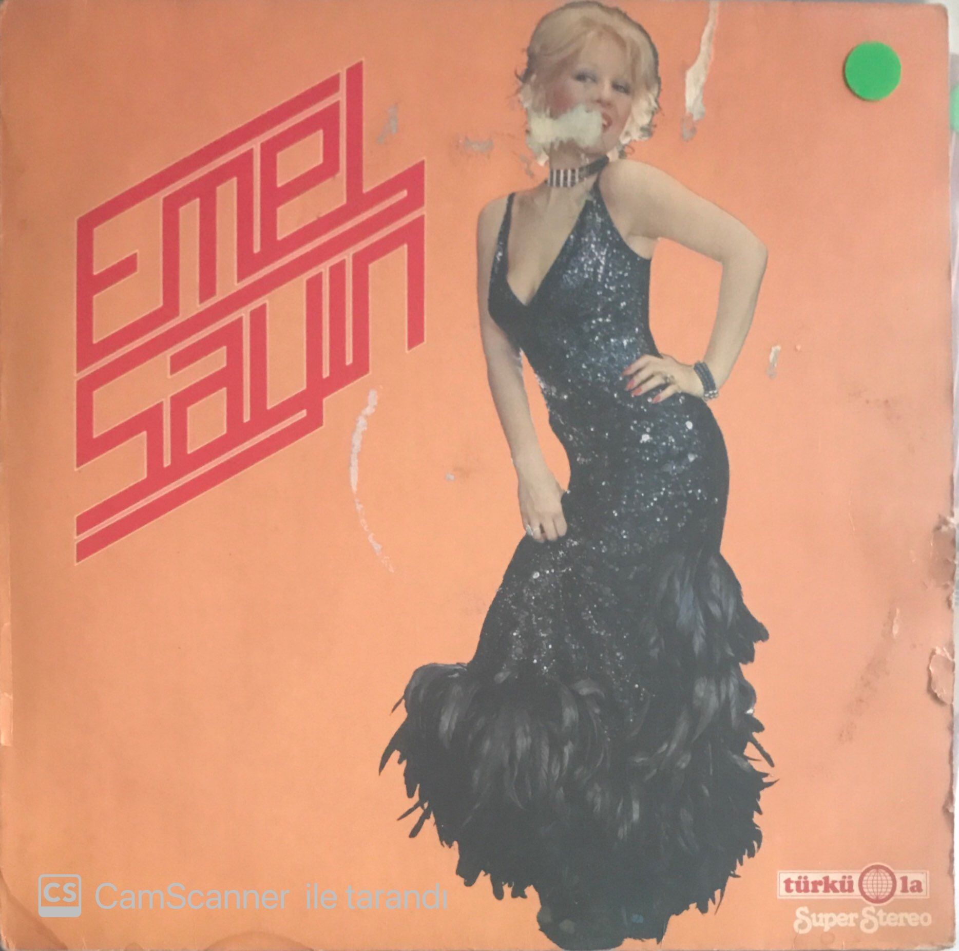 Emel Sayın LP (Türküola Baskı)