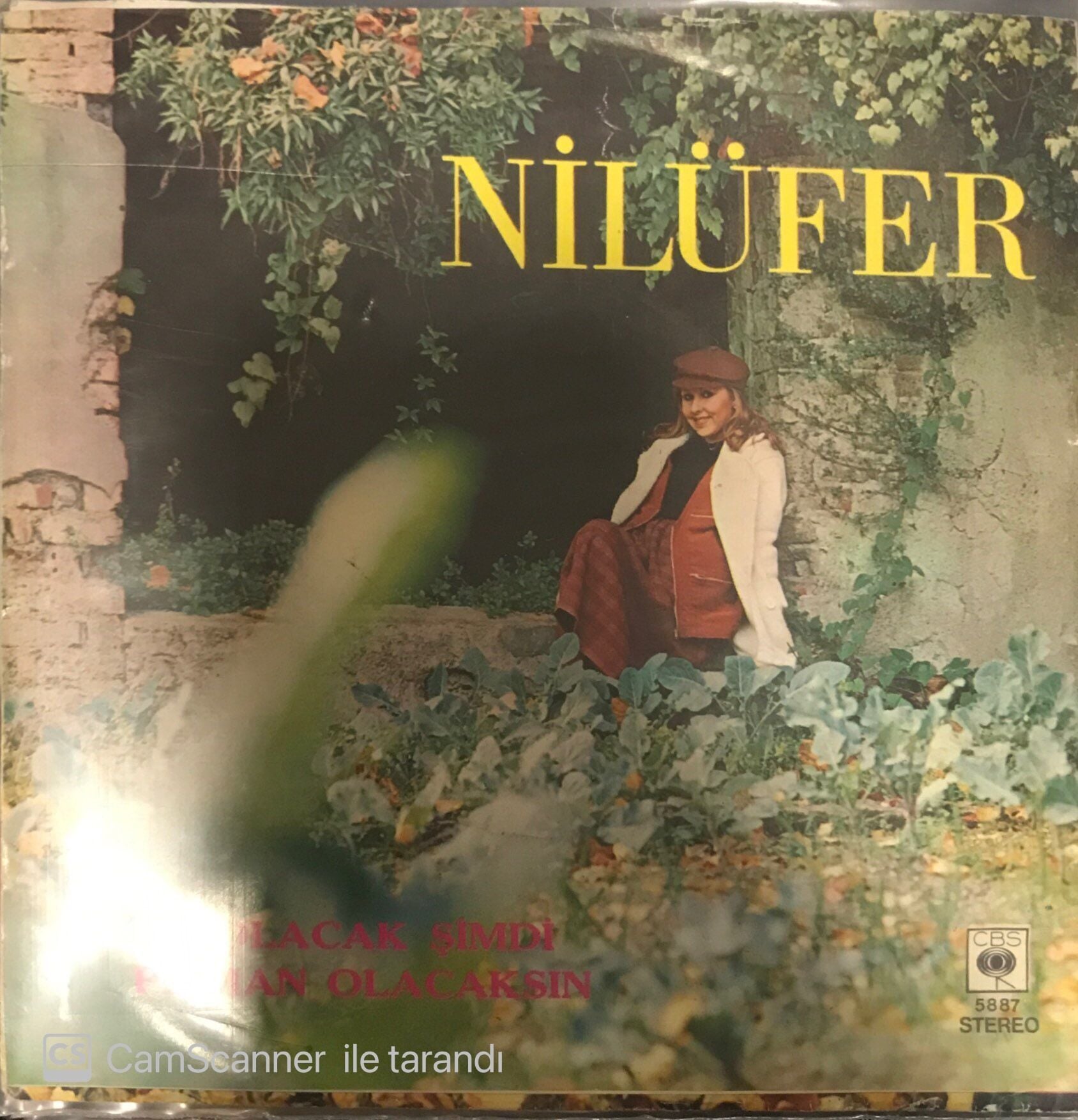 Nilüfer Ne Olacak Şimdi 45lik