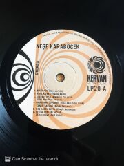 Neşe Karaböcek - Dünden Bugüne - LP