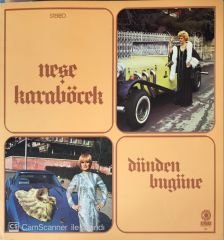 Neşe Karaböcek - Dünden Bugüne LP