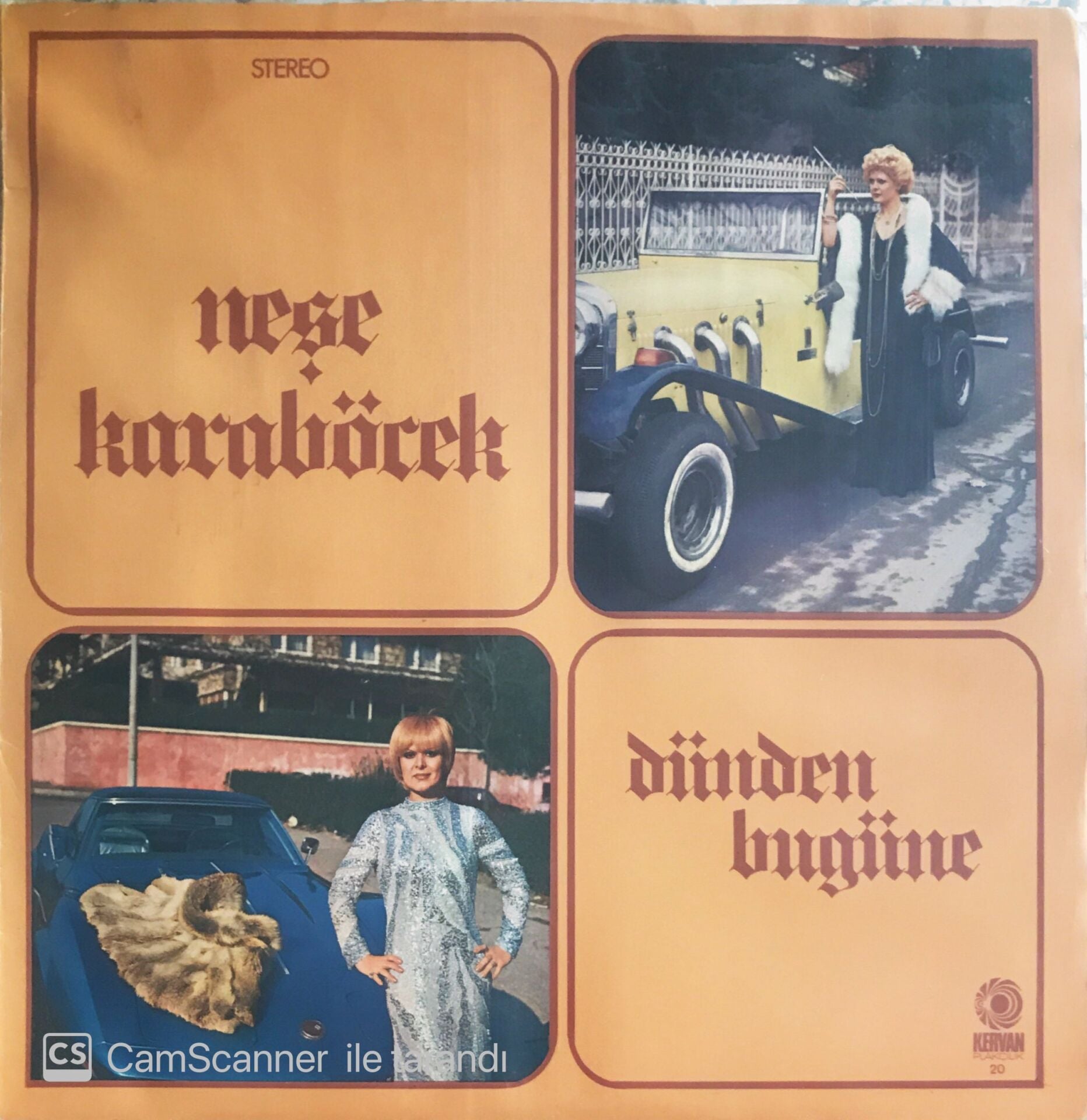 Neşe Karaböcek - Dünden Bugüne - LP