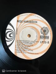 Neşe Karaböcek - Dünden Bugüne - LP