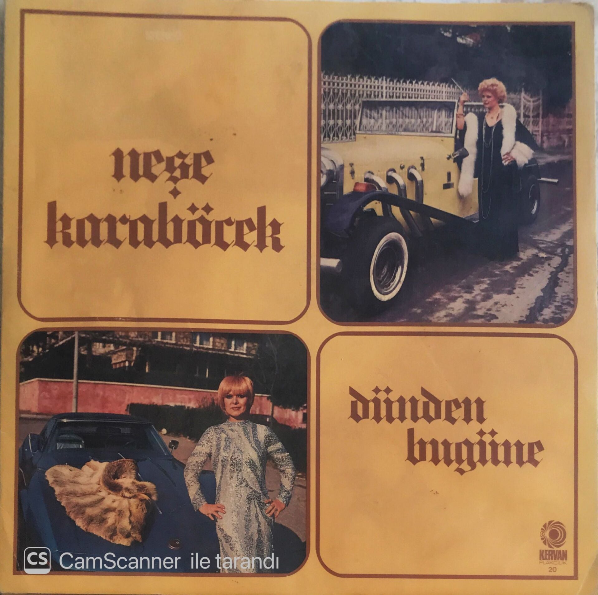 Neşe Karaböcek - Dünden Bugüne - LP