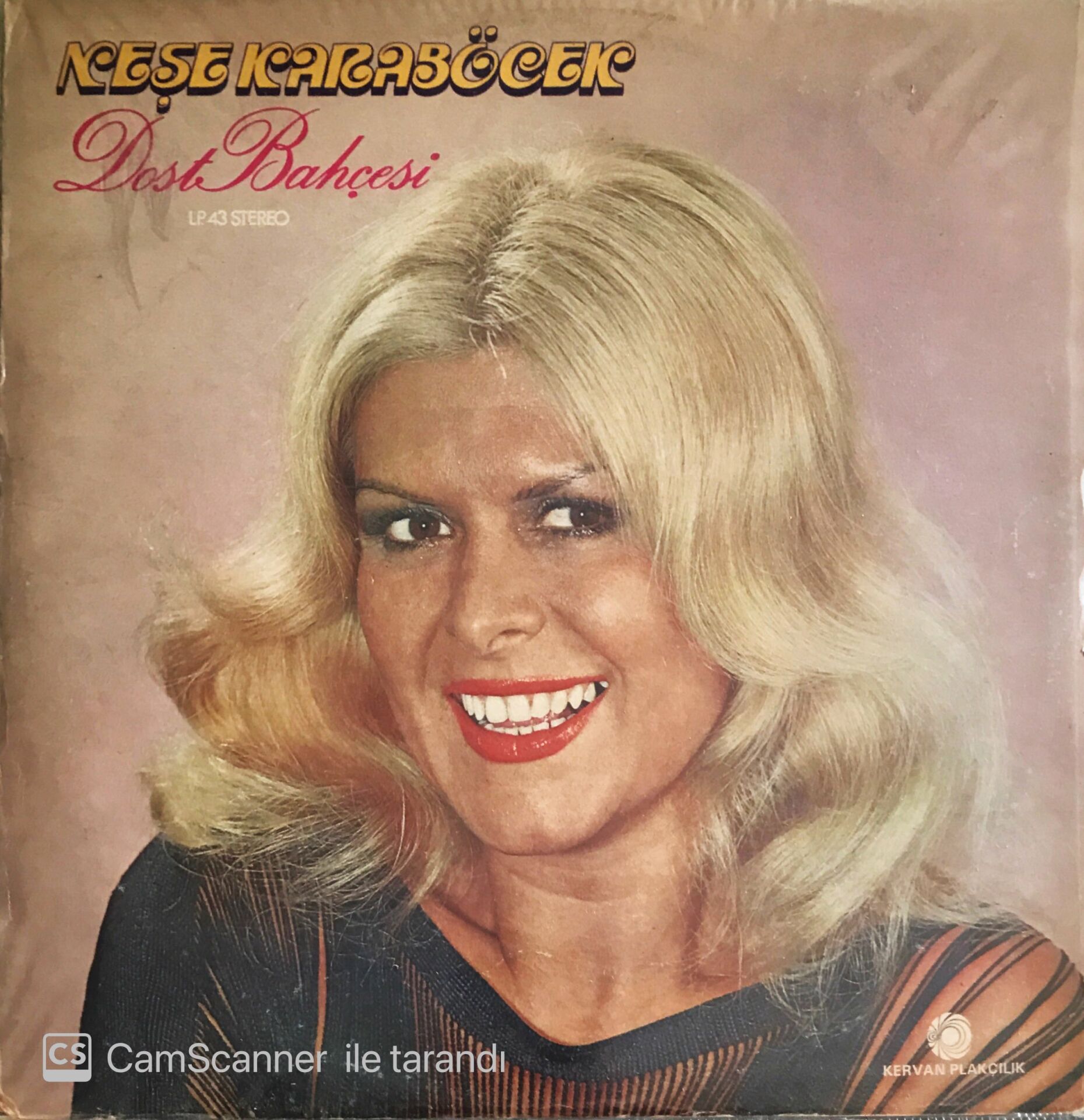 Neşe Karaböcek - Dost Bahçesi - LP