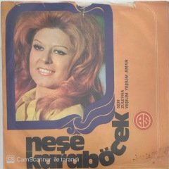 Neşe Karaböcek Alım Yeşilim Sarım 45lik