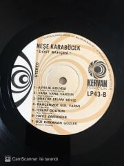 Neşe Karaböcek - Dost Bahçesi - LP