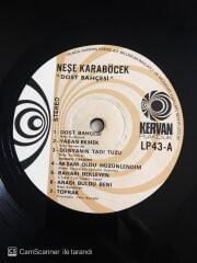 Neşe Karaböcek - Dost Bahçesi - LP