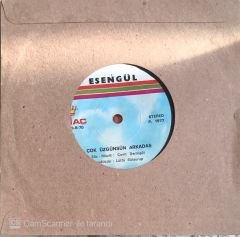 Şecaettin Tanyerli - Dinle Ben Bir Tangoyum 45lik