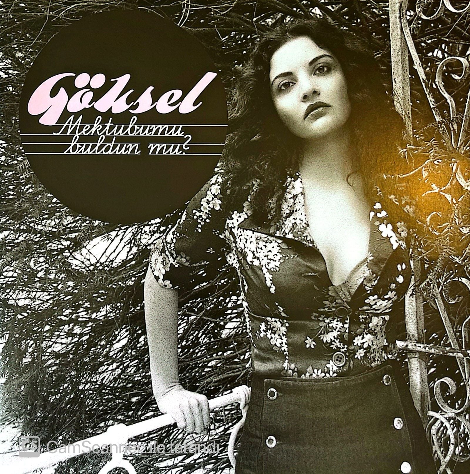 Göksel - Mektubumu Buldun Mu? LP