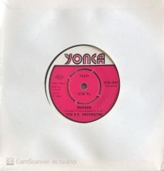 The E. E. Orchestra - Makara 45lik