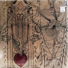 Horses in The Sky LP
