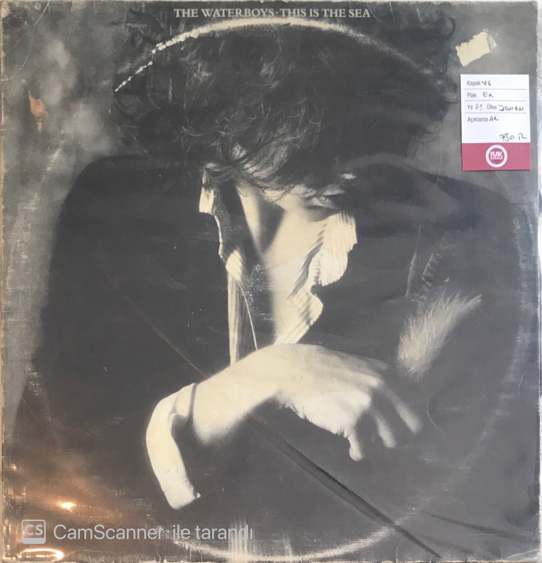The Waterboys - This Is The Sea LP