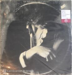 The Waterboys - This Is The Sea LP