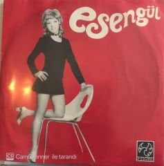 Esengül - Anlamıyorsun Gönül Derdinden (Zalim) 45lik