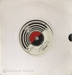 Esengül - Ayrılık Günü 45lik