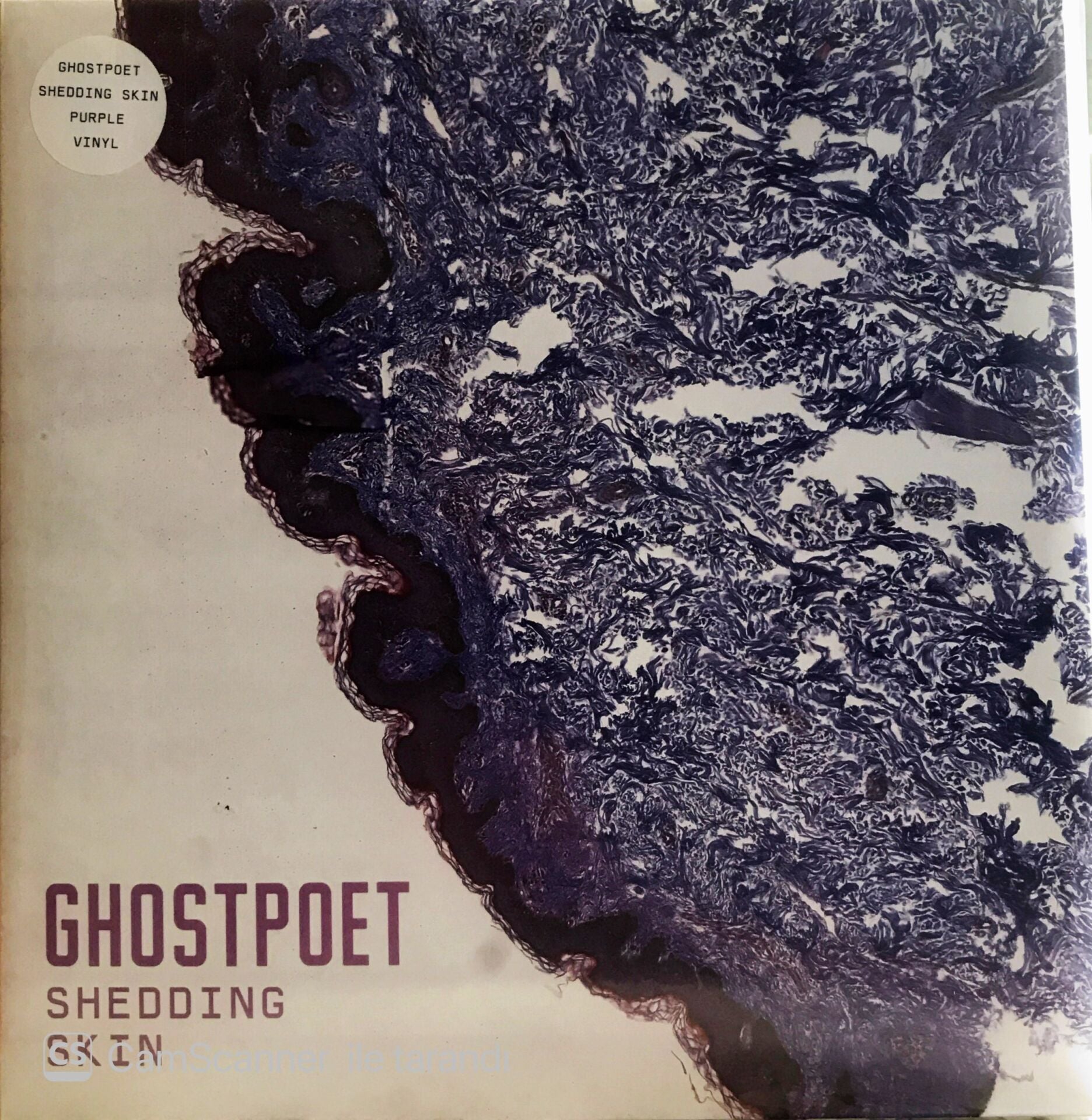Ghostpoet - Shedding Skin (Mor Renkli LP) LP