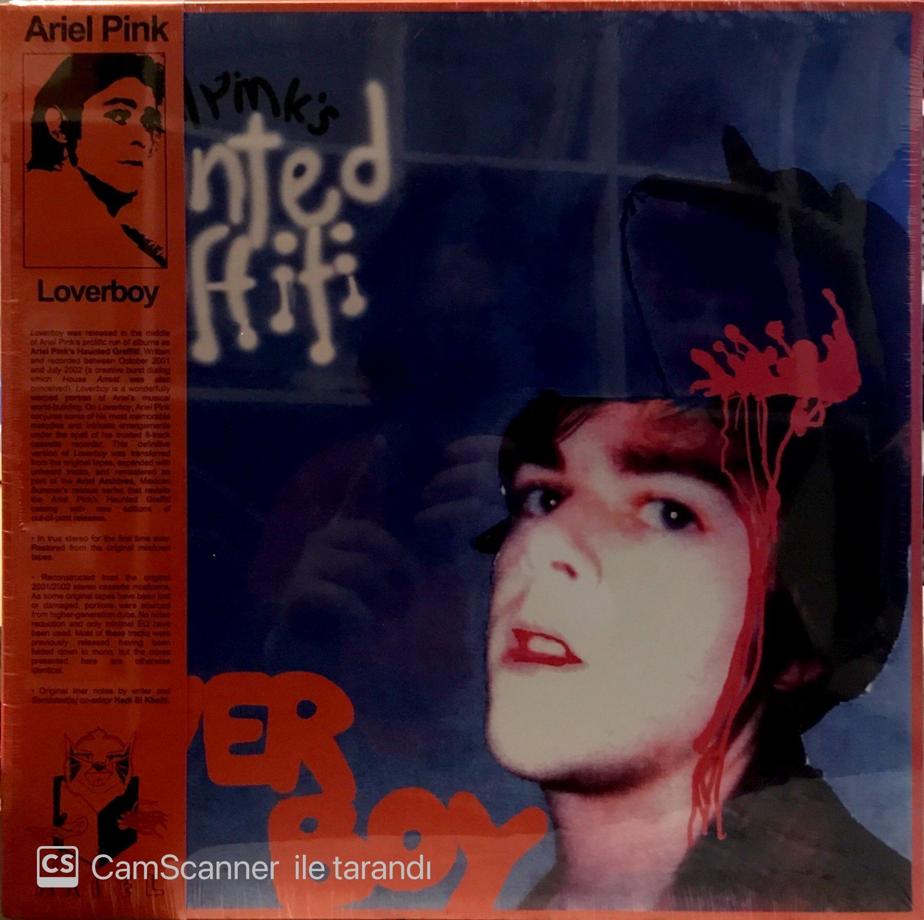 Ariel Pink's Haunted Graffiti / Loverboy Double LP