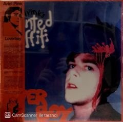 Ariel Pink's Haunted Graffiti / Loverboy Double LP