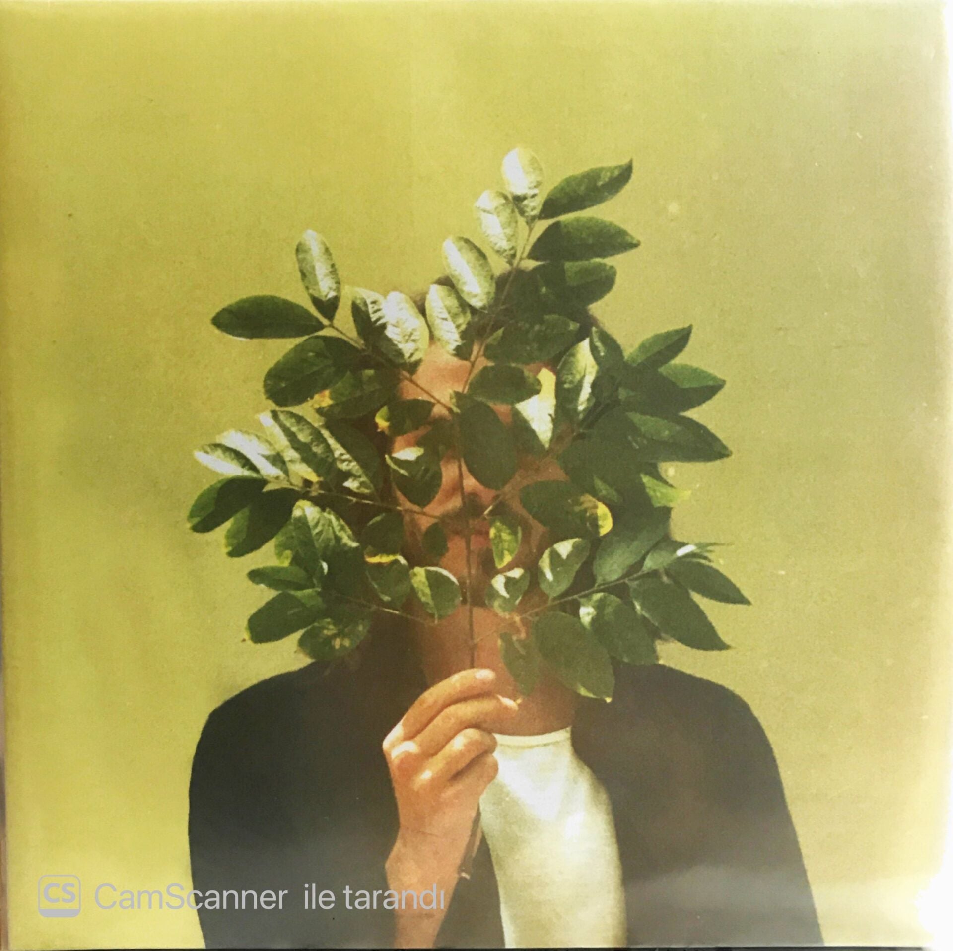 French Kiwi Juice (2 LP) LP