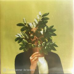 French Kiwi Juice (2 LP) LP