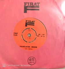 Ajda Pekkan / Yalnızlıktan Bezdim 45lik