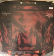 Rod Stewart - Sing It Again Rod LP
