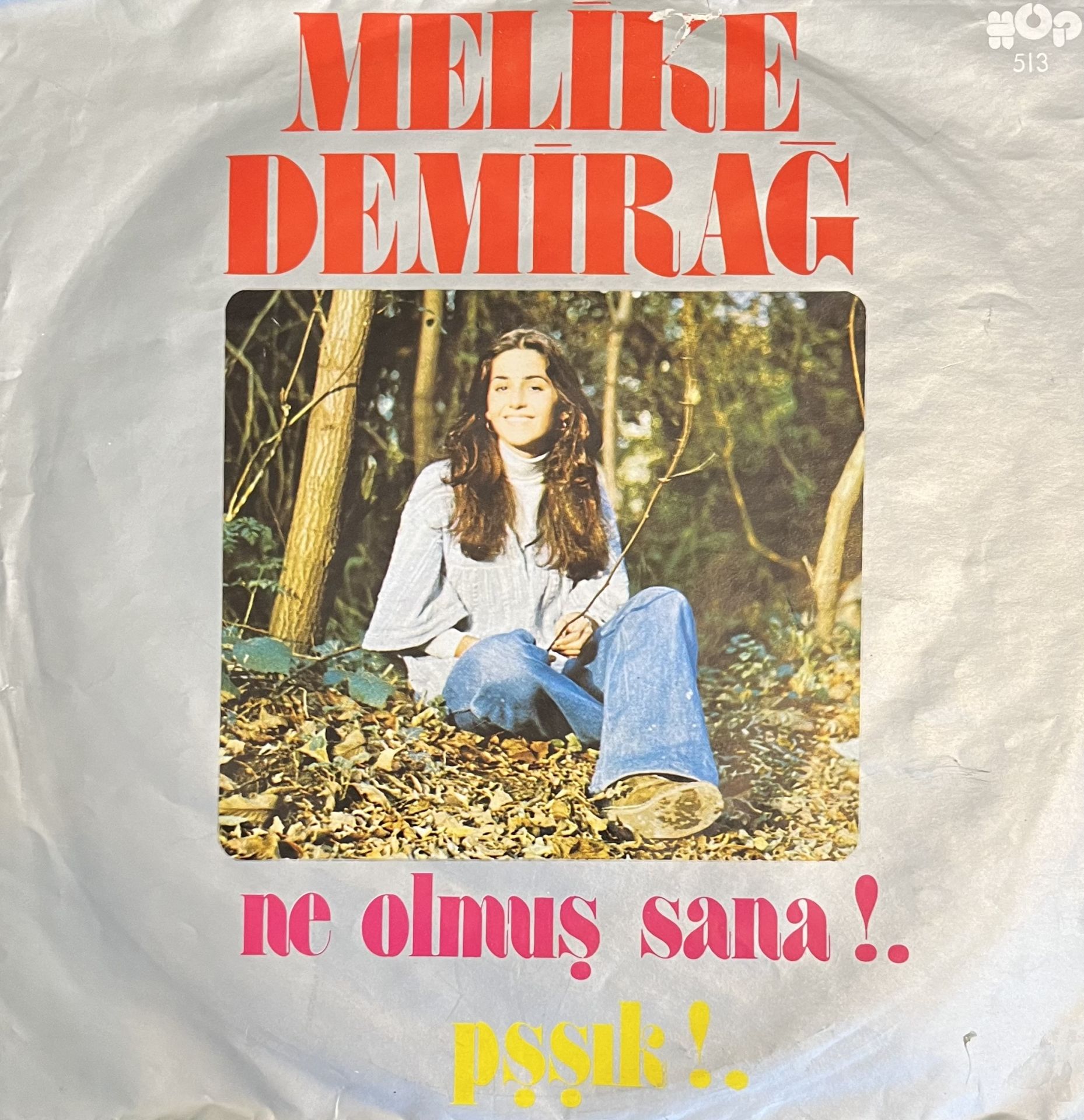 Melike Demirağ - Ne Olmuş Sana ? 45lik