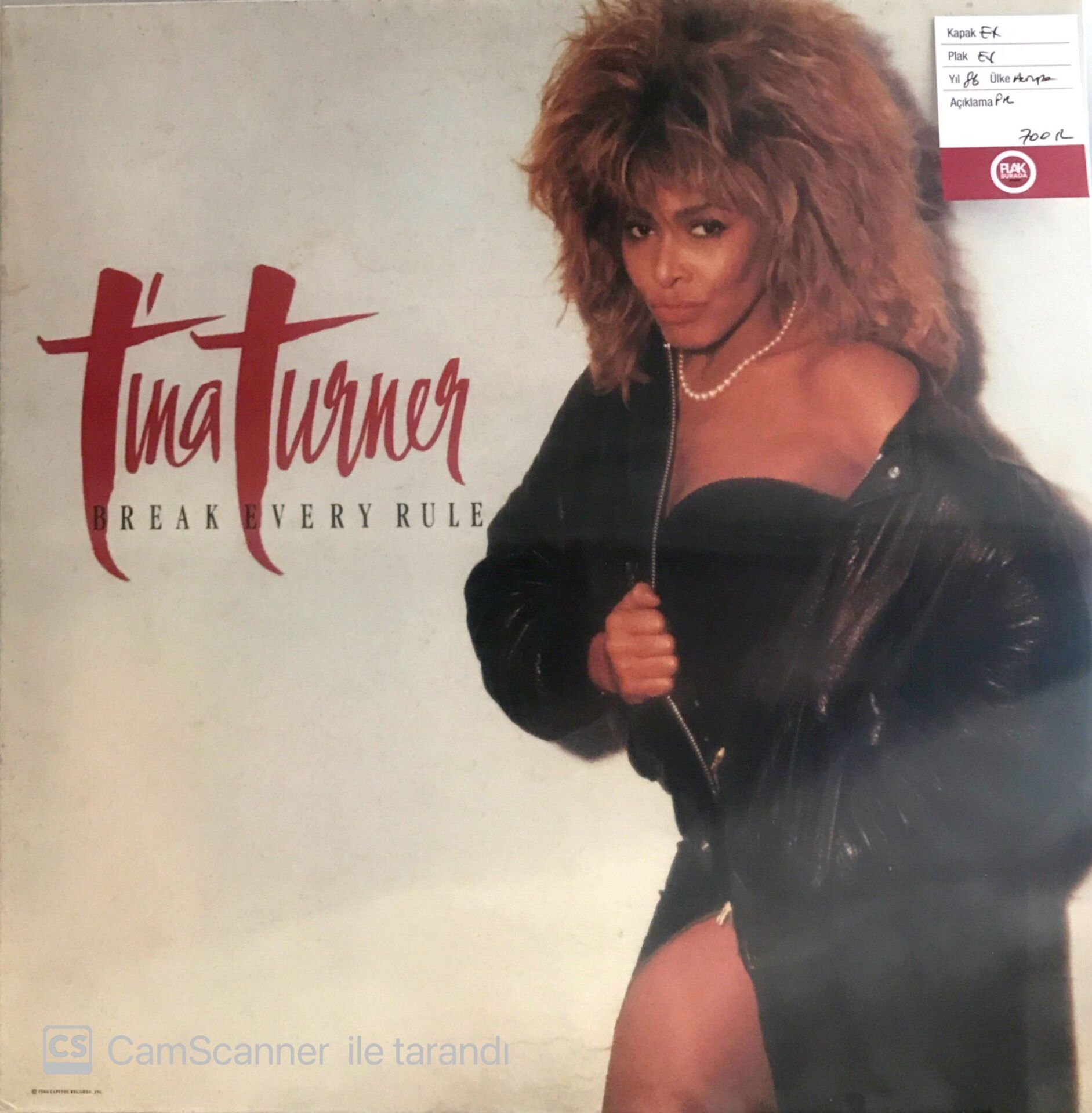 Tina Turner - Break Every Rule LP