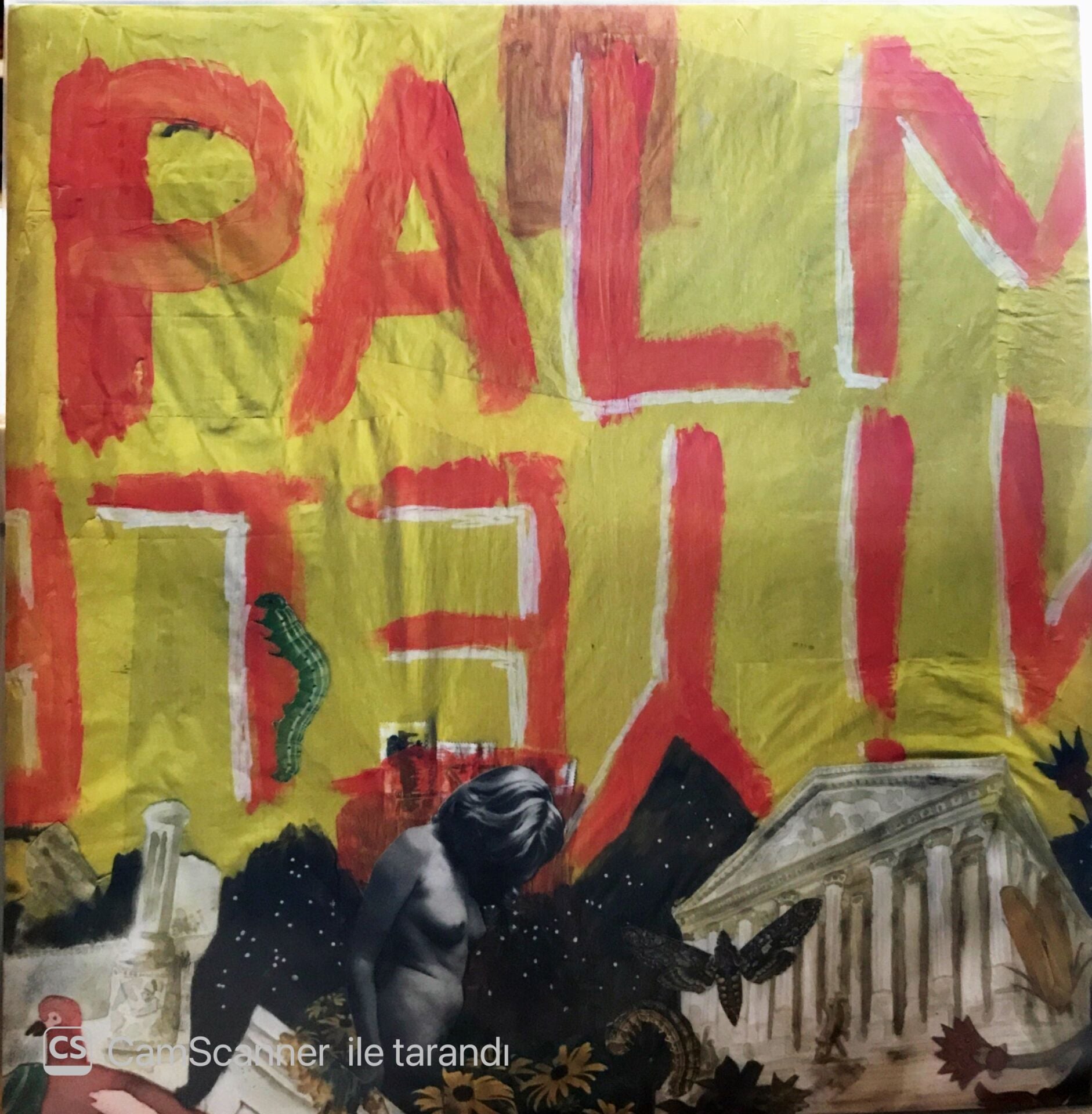 Palmiyeler - Palmiyeler LP