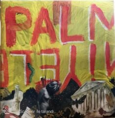 Palmiyeler - Palmiyeler LP