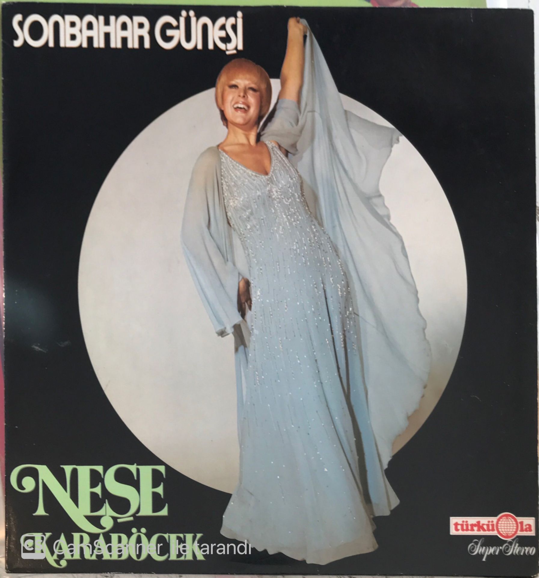 Neşe Karaböcek - Sonbahar Güneşi LP