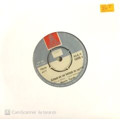 Nesrin Sipahi - Gitmek Mi Zor Kalmak Mı Zor 45lik