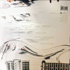 Joe Satriani – What Happens Next Double LP