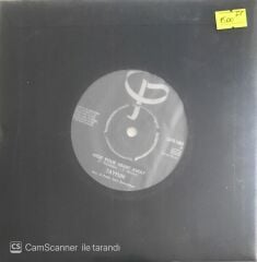 Tayfun - Hide Your Heart Away/What A Wonderful Feeling - 45'lik