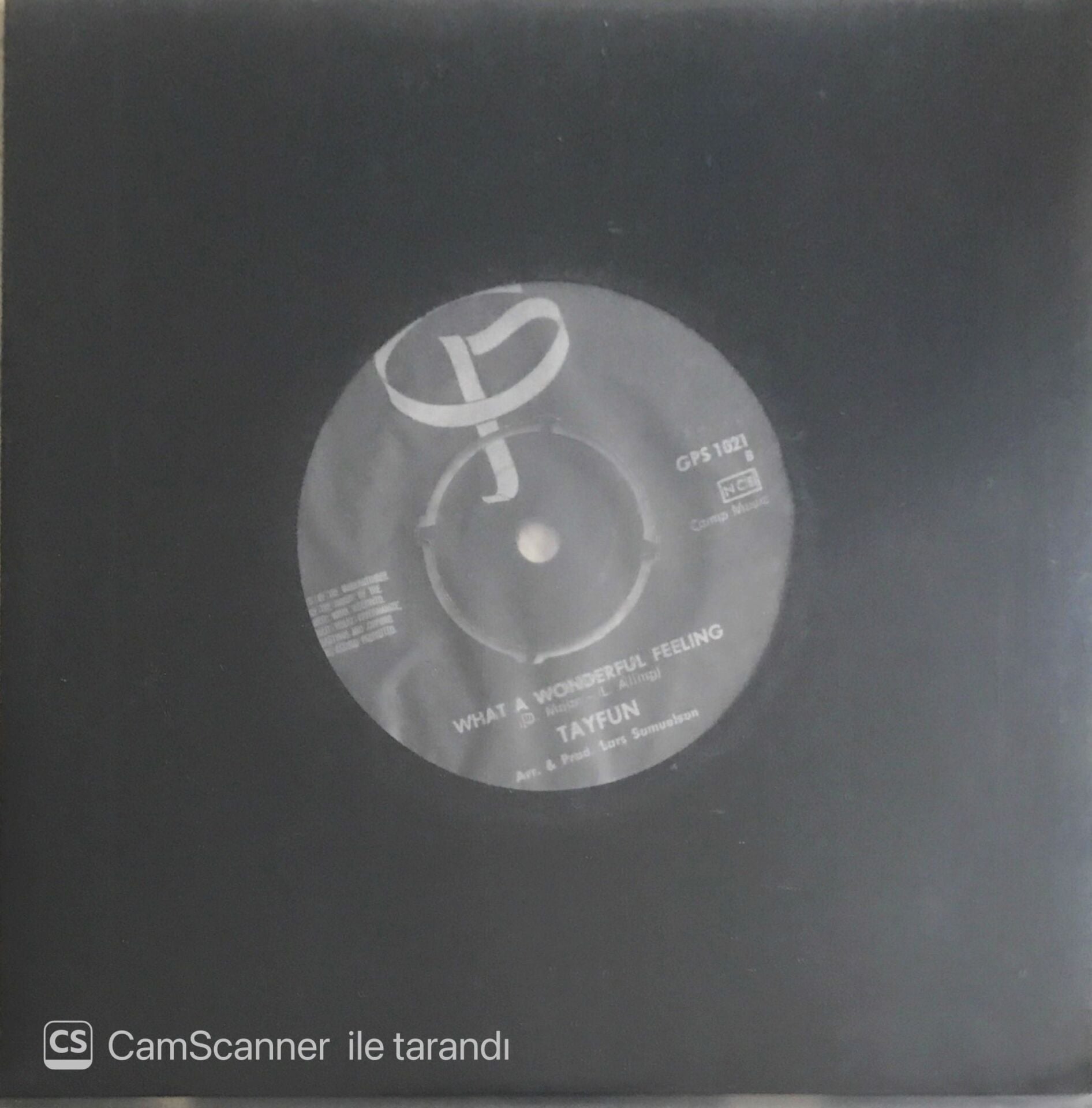 Tayfun - Hide Your Heart Away/What A Wonderful Feeling - 45'lik