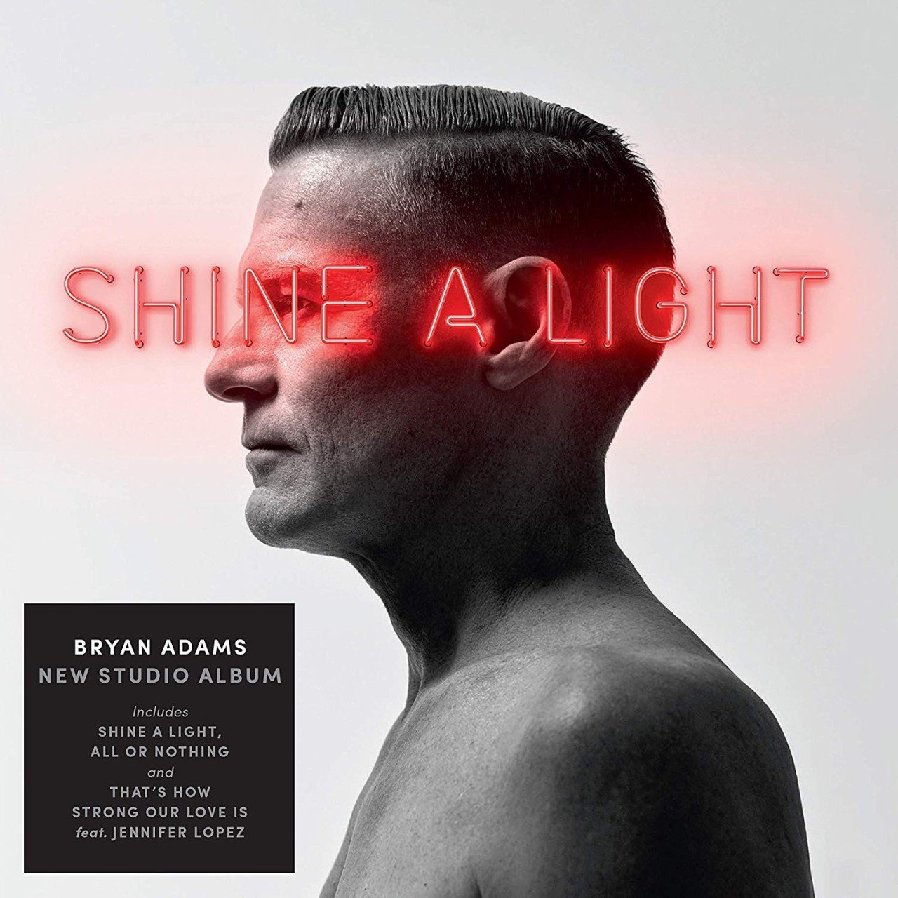 Bryan Adams Shine A Light LP