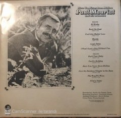 Paul Mauriat Have You Never Been Mellow LP