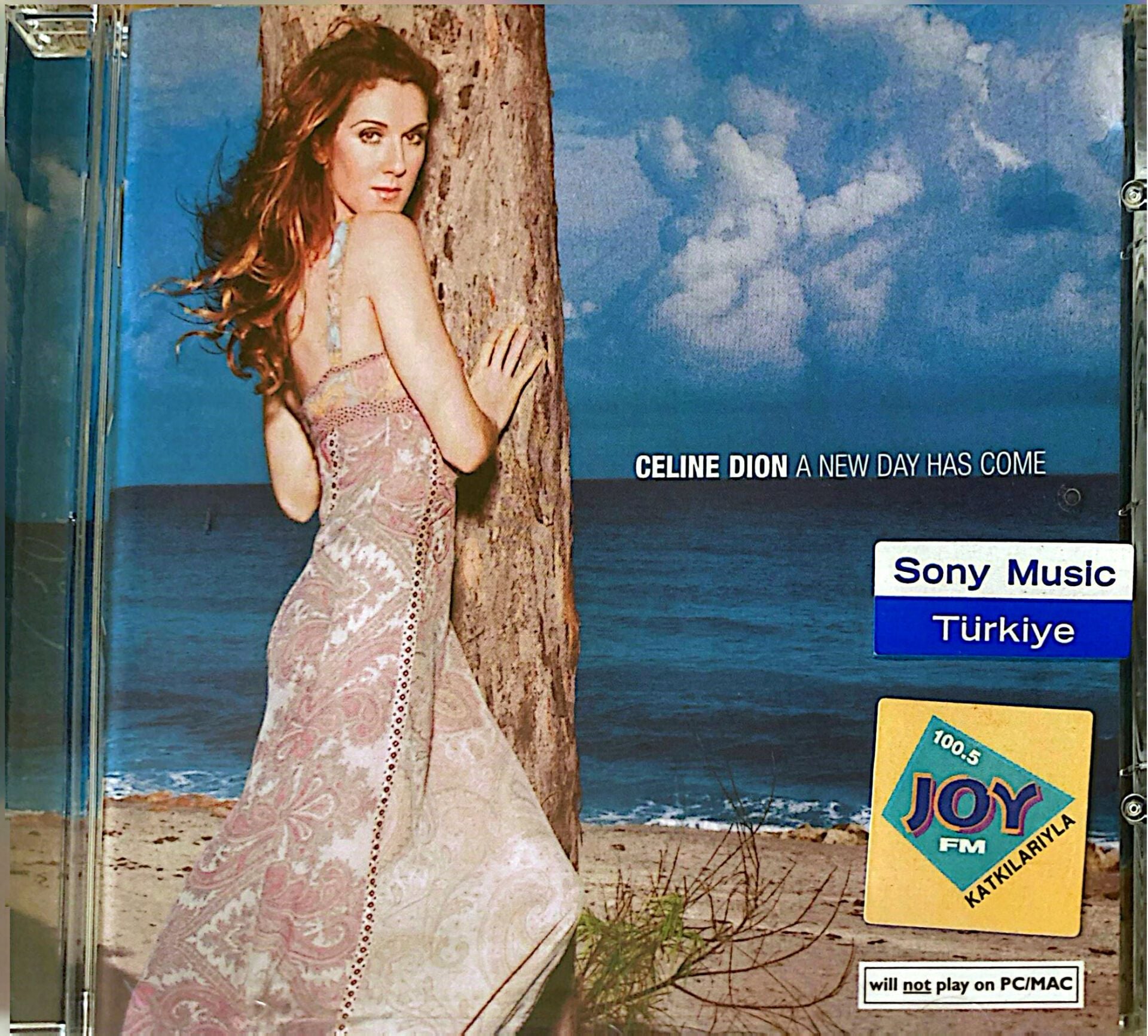 Celine Dion - A New Day Has Come - CD