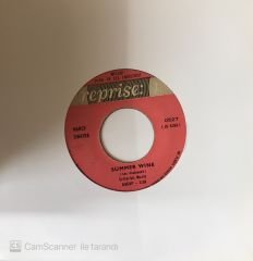Nancy Sinatra Summer Wine 45lik