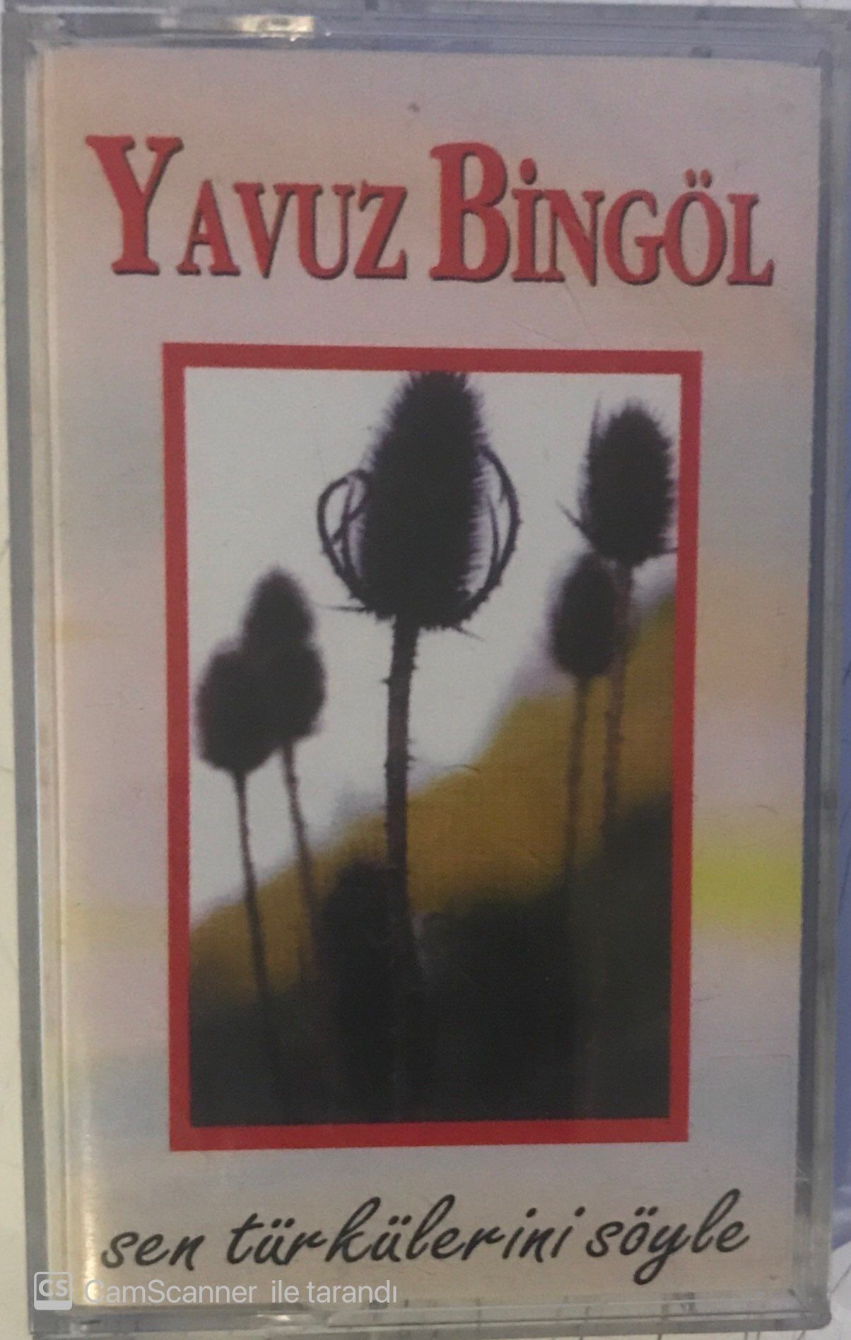 Yavuz Bingöl Sen Türkülerini Söyle KASET